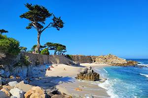 12 Best Beaches in Monterey, CA