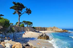 Best Beaches in Monterey, CA