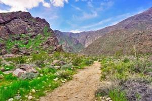 17 Best Hikes in Palm Springs, CA