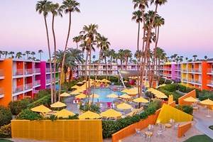12 Pet-Friendly Hotels in Palm Springs, CA