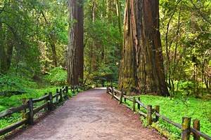 Top Hiking Trails near Santa Cruz