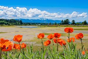 14 Top-Rated Attractions & Things to Do in Parksville, BC