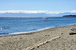 9 Best Beaches in Victoria, BC