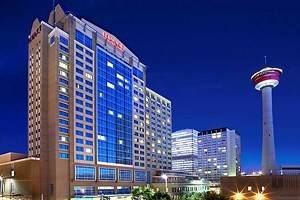 12 Top-Rated Hotels in Calgary