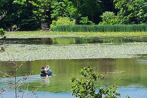 12 Best Parks in Toronto