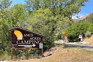 Best Campgrounds in Glenwood Springs, CO