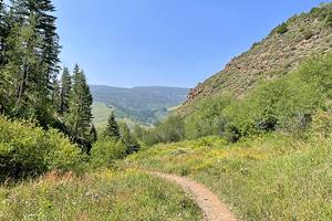 12 Best Hikes in Vail, CO