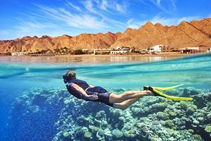 Diving in the Red Sea: 10 Best Dive Sites