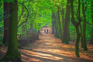 London's Best Walks