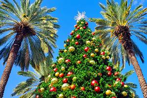 14 Best Christmas Towns in Florida