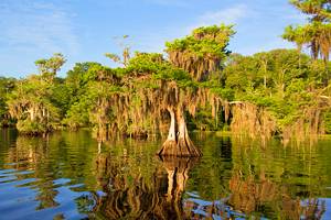 Florida's Best Lakes