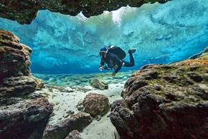 Florida's Best Springs