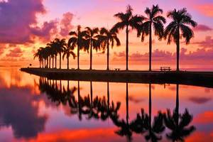 Best Time to Visit Florida