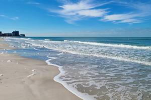 7 Best Beaches near Dunedin, FL