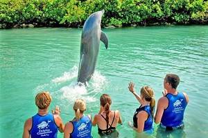 11 Top Rated Tourist Attractions In The Florida Keys Planetware