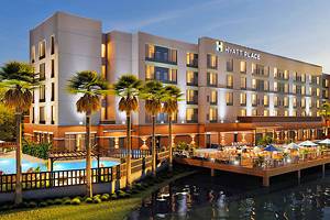 13 Best Pet-Friendly Hotels in Jacksonville, FL