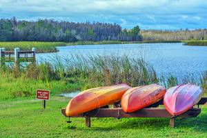 12 Best Things to Do in Lakeland, FL