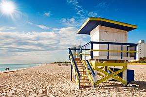 19 Top-Rated Tourist Attractions in Florida