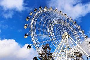Where to Stay in Orlando: Best Areas & Hotels