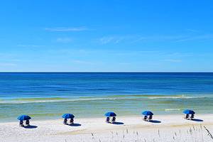 10 Top-Rated Things to Do in Seaside, FL
