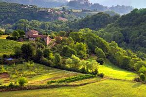 Exploring the Gorges de l'Ardèche: A Driving Tour