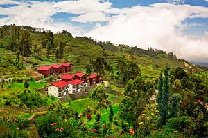 11 Top-Rated Resorts in Kodaikanal
