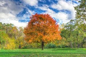 Indiana in Pictures: 18 Beautiful Places to Photograph