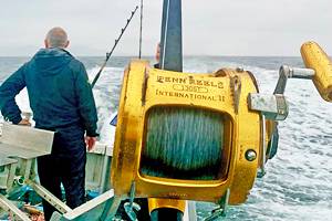 Atlantic Bluefin Tuna and Coastal Fishing in Ireland