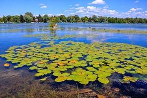 15 Top-Rated Lakes in Michigan