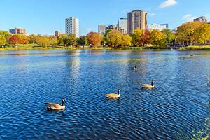 11 Best Parks in Minneapolis