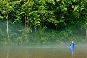 15 Top-Rated Trout Fishing Lakes & Rivers in Missouri