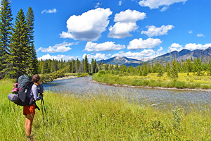 Top Things to Do in Flathead National Forest