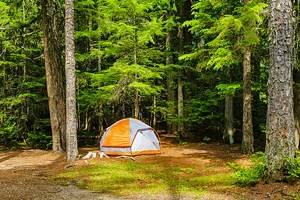Best Campgrounds in Glacier National Park