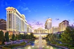 11 Top Pet-Friendly Hotels in Las Vegas