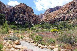 9 Top-Rated Hikes in Red Rock Canyon National Conservation Area