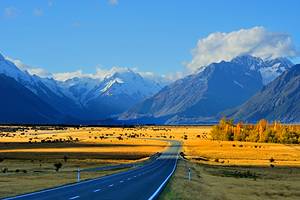 New Zealand Travel Guide