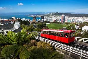 15 Top-Rated Tourist Attractions in Wellington