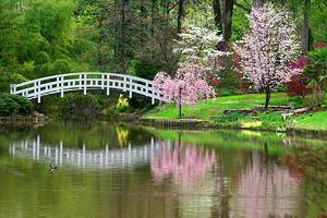 Romantic Getaways in North Carolina