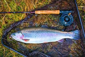 9 Top-Rated Oklahoma Trout Fishing Lakes and Rivers
