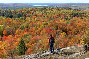 Best Hiking Trails in Algonquin Provincial Park