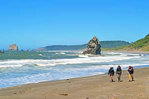 Best Hikes on the Oregon Coast