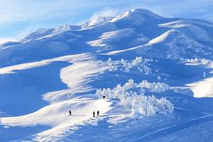 Oregon's Best Ski Resorts