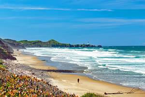 Best Beaches near Newport, OR