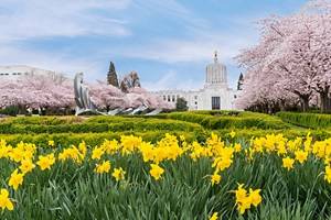 13 Top-Rated Attractions & Things to Do in Salem, OR