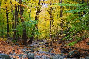14 Top-Rated Hiking Trails in Pennsylvania