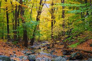 15 Top-Rated Hiking Trails in Pennsylvania