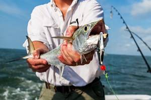 South Carolina's Top Deep Sea Fishing Destinations