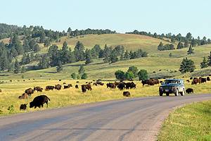 11 Best National & State Parks in South Dakota