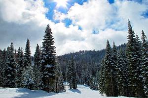 8 Top-Rated Ski Resorts in Lake Tahoe, 2023