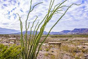 Top Things to Do in Big Bend Ranch State Park